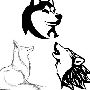 Собаки,лисы и волки.
