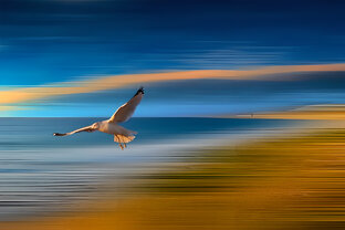 Знаменитые мысли