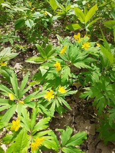 Ну и менее полгода.2022