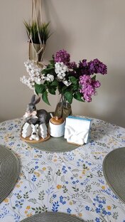 С комнатными растениями очень уютно! 