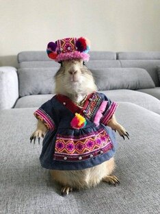 Как прожить предпенсионеру без работы. Личный опыт. 