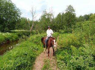 на наших конных маршрутах 🏇