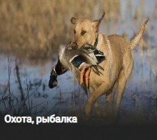 Охота . Рыбалка