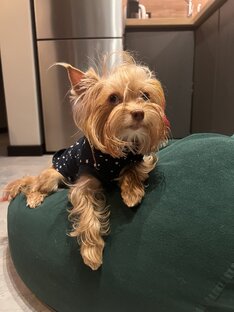 Рыжая бестия❤️‍🔥