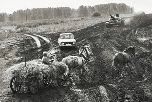 История в цвете. Ролики