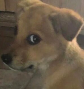 Мелодии и ритмы зарубежной эстрады