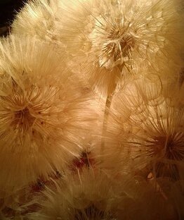 Мои фотографии