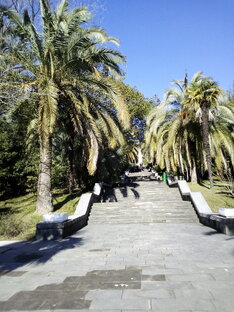 Прогулки