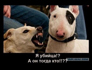 Проблемы в собаководстве