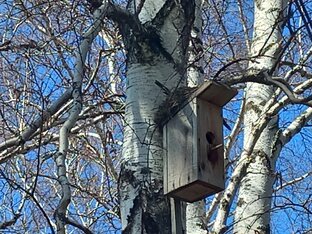 Забавное о животных