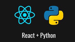 Курс по WEB-программированию на Python и React.
