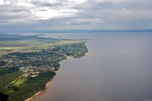 Лучшие статьи