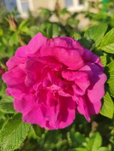 Рассказики 