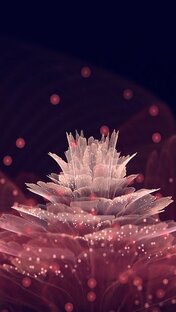 Творчество моей Души