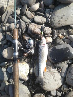 Рыбалка на горных реках