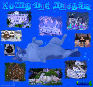 Кошачий дизайн