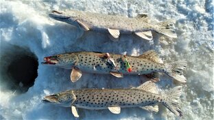 Зимняя Рыбалка