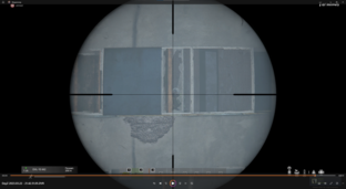 DayZ 