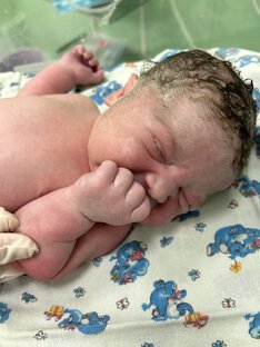 Сосательный рефлекс!!!!