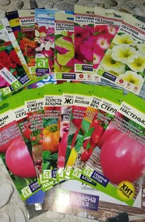 Итоги тестирования семян 2022