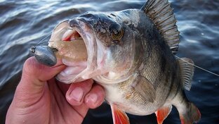 Рыбалка 🎣