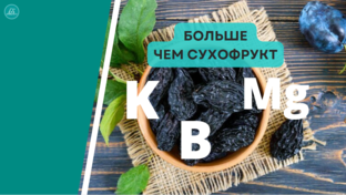 Пусть еда будет лекарством. Полезные советы