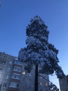 Зима❤️❤️