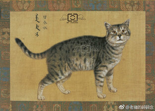 Неожиданные находки