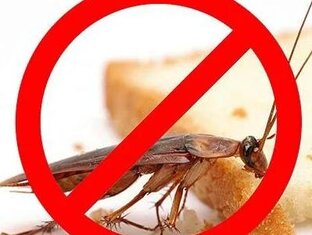 Уничтожение Тараканов Москва