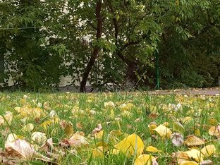 Любимая дача