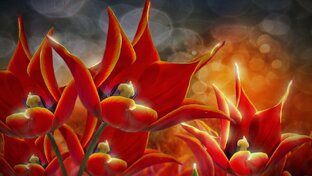 Романы Ульяны Соболевой