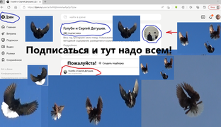 Полигон в Брусовом! 