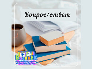 Вопрос/ответ