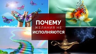 Путь к счастливой жизни