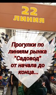 ПРОГУЛКИ ПО ЛИНИЯМ РЫНКА САДОВОД, ВИДЕООБЗОРЫ 
