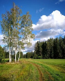 Природная красота 