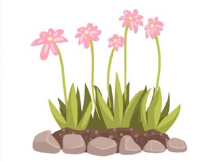 Мои сибирские многолетники