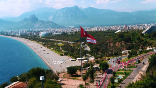 Статьи и посты