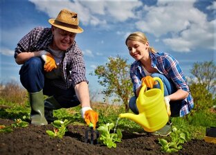 Дела садово-огородные