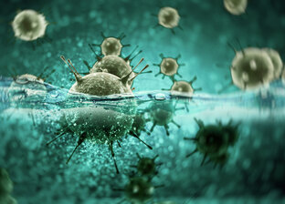 Дезинфекция