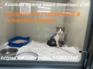 Про Булочку