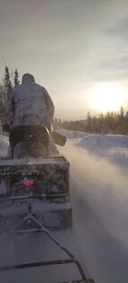 По бескрайней тайге