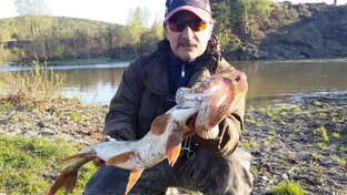 Мормышинг. Микроджиг.