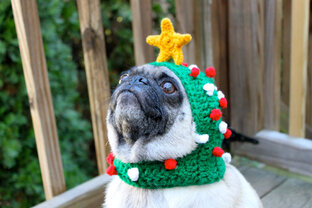 За жизнь не без сарказма