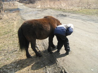 Познавательное