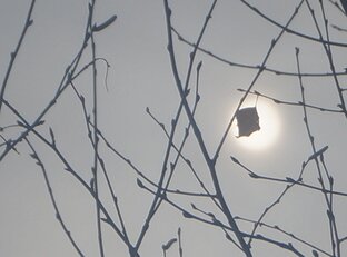 Природа отвечает на вопросы