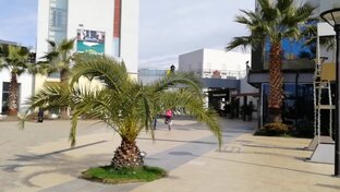 Краснодарский край