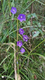 Юркины рассказы