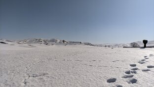 Снегоход Тайга