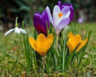 СТИХИ ДРУГИХ АВТОРОВ